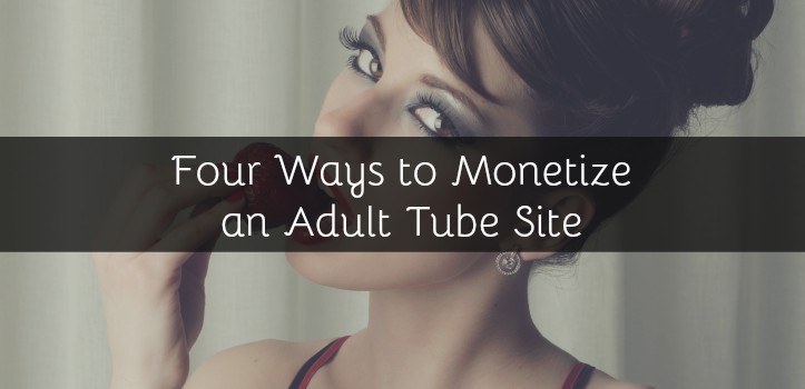 Four Ways to Monetize an Adult Tube Site