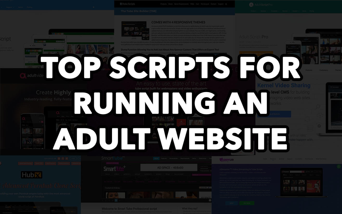 Top Scripts for Running an Adult Tube Website in 2022